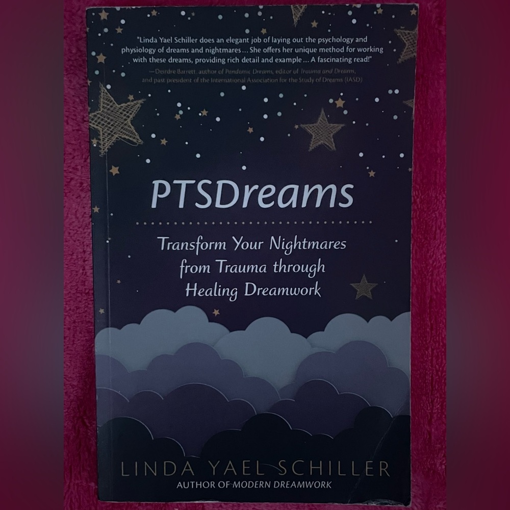 PTSDreams Book by Linda Yael Schiller